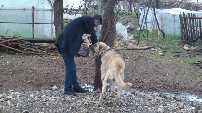 Adıyaman’da karantinaya alınan 3 köyde aşılama çalışması başlatıldı.