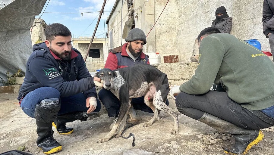 Türkiye-Suriye depreminde Ölü sayısı 36.000’i geçti; Hasar gören havalimanı yeniden açılıyor