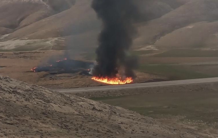 Van’da Dikkuyruk ördeklerinin üreme alanı sazlık yandı