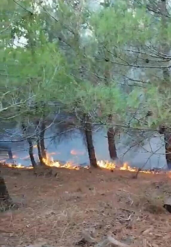 İzmir’in Kemalpaşa ilçesinde Yıldırım Düşmesi Sonucu Orman Yangını