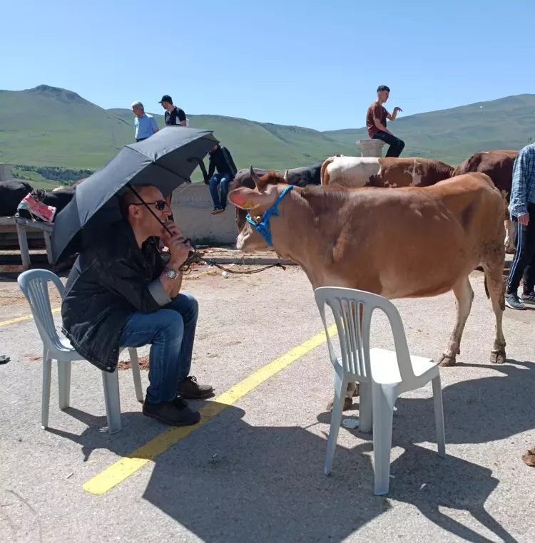 Türkiye’nin Klâsik Kurban Bayramı manzaraları