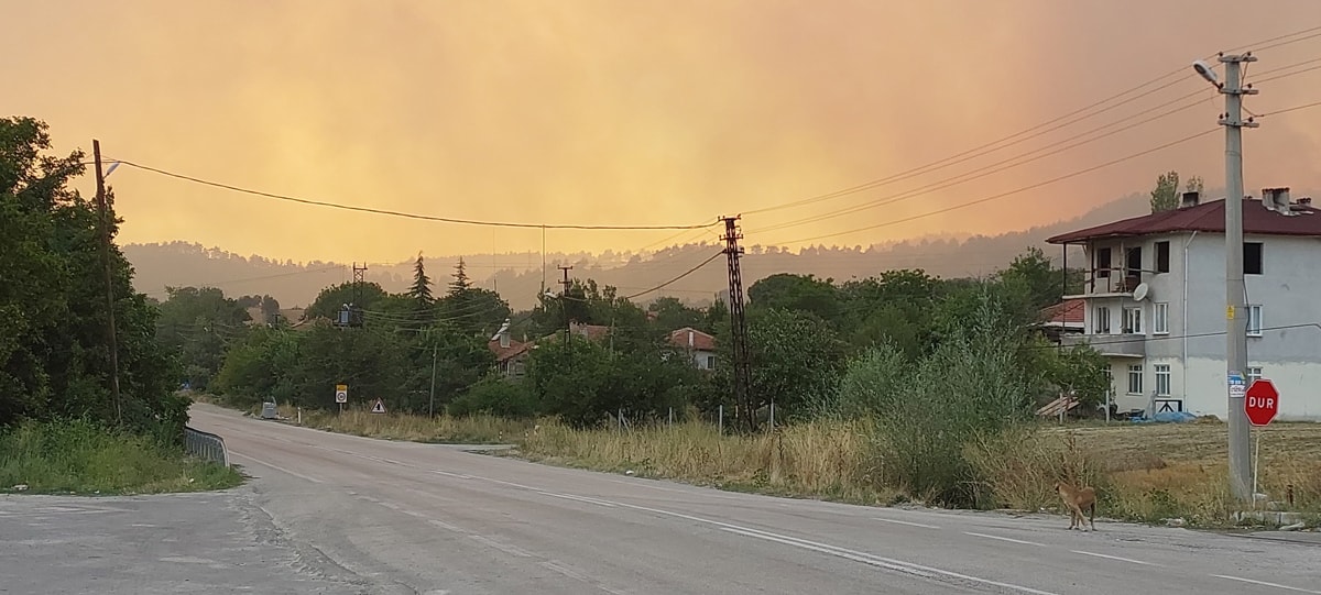 Bolu’da Büyük Yangın: Gözaltılar Var.