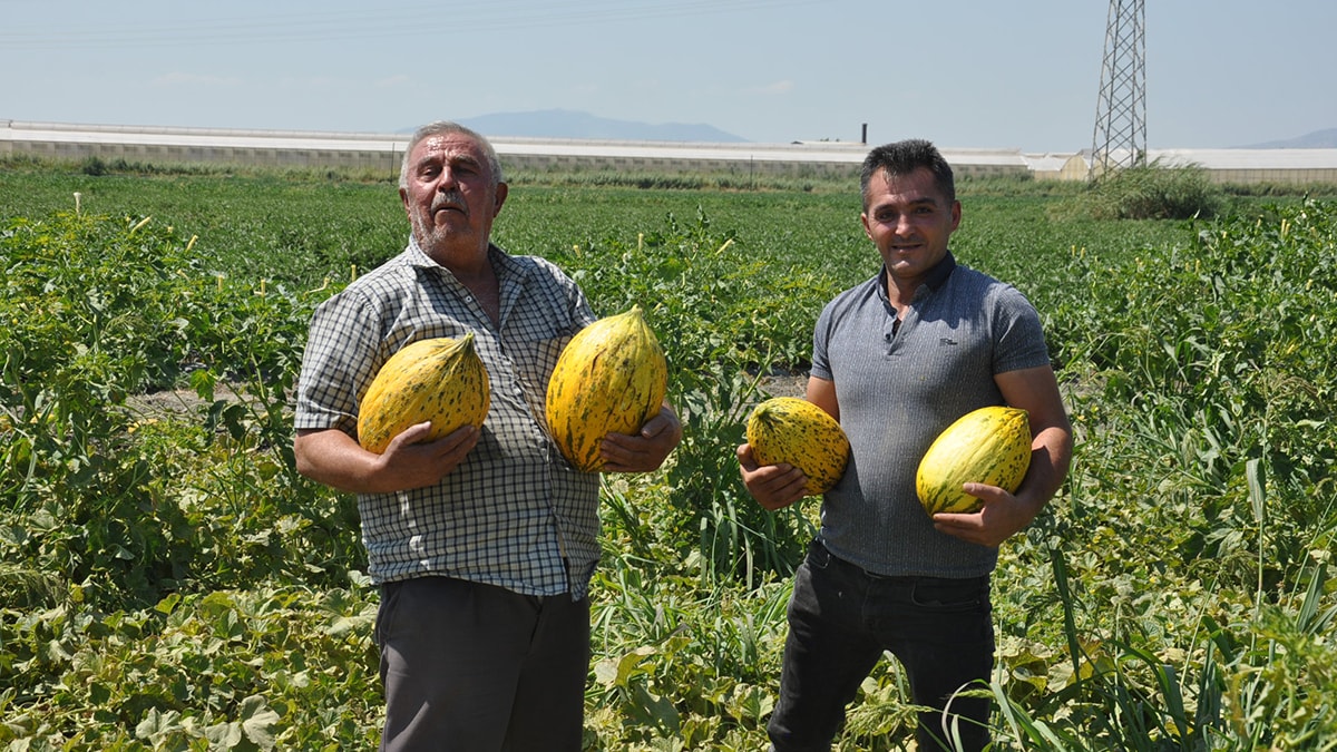 Fiyat Krizi Yaşayan Çiftçilerden Halka 600 Ton Bedava Kavun ve Karpuz