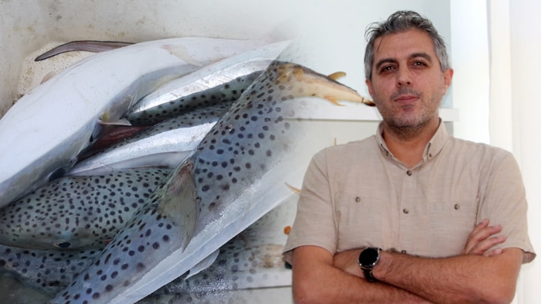 Bu Balığa Dikkat! Sonbahar ve Kış Aylarında Ölümcül Tehdit