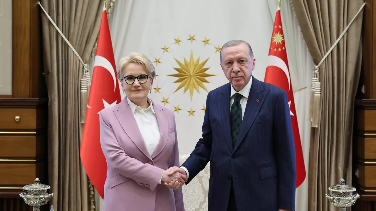 Cumhurbaşkanı Erdoğan, Meral Akşener’e Açtığı Davalardan Feragat Etti