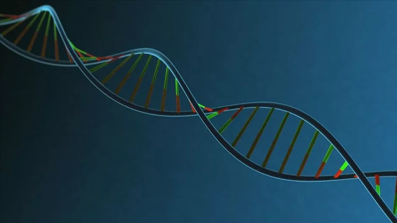 Türklerin DNA’sı Hangi Milletle En Çok Benziyor? Bilimsel Çalışmaların Dikkat Çeken Sonuçları