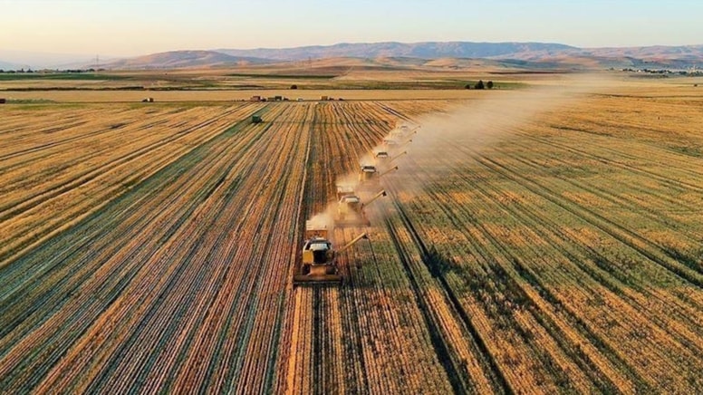 Tarım ve Orman Bakanlığı’ndan Çiftçilere Müjde: 509 Milyon Lira Destekleme Ödemesi Bugün Hesaplarda