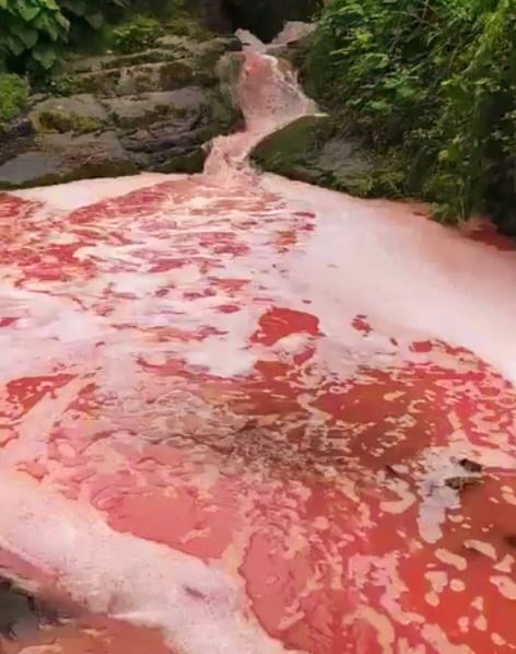 Rize’de Kırmızı Su Endişe Yarattı: Bu Rengin Nedeni Ne?