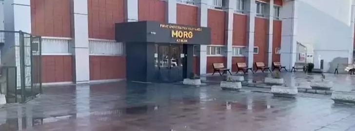1000013228